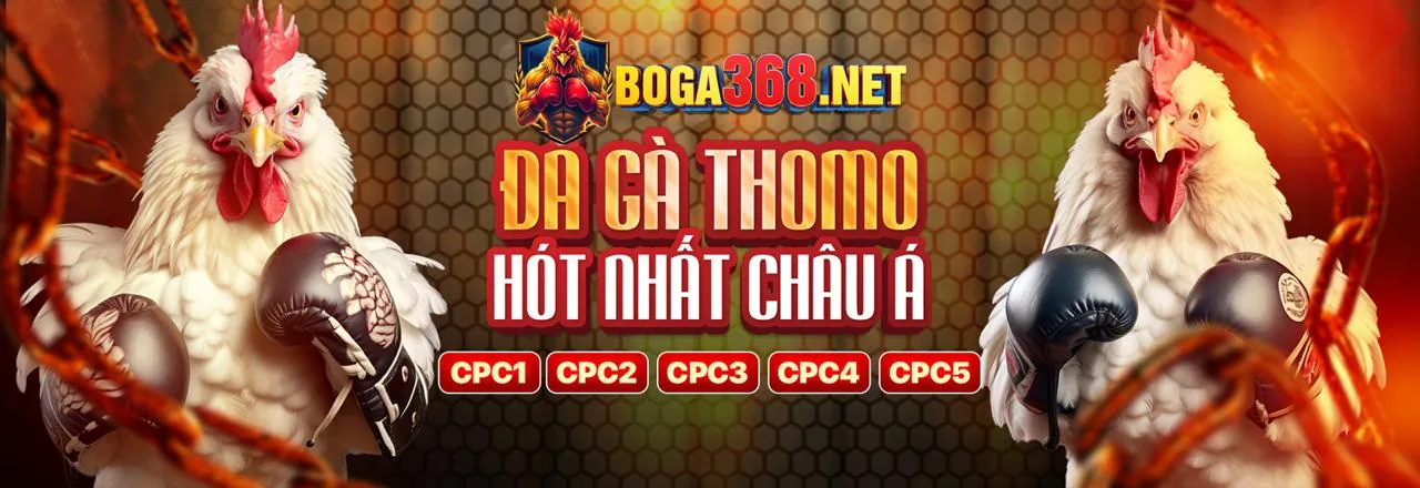 Các lợi ích khi chơi đá gà tại 88go khuyến mãi